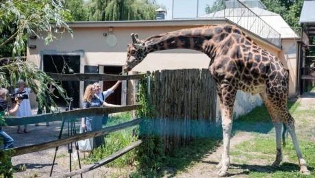 Zoo Osijek