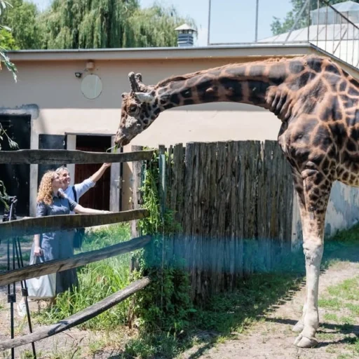 Zoo Osijek