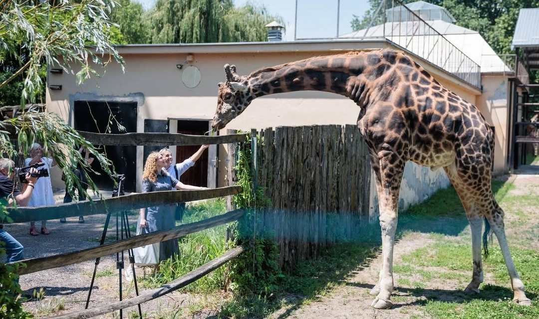 Zoo Osijek